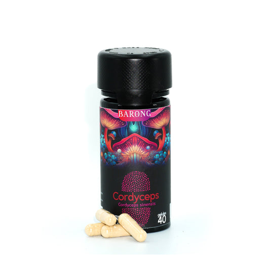 Gélules de Cordyceps 400mg